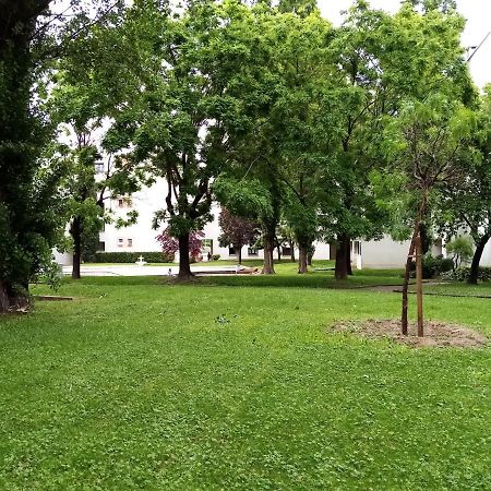 Chambre Double Greg En Colocation Montpellier Exterior foto